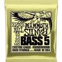 Ernie Ball Mammoth slinky 5 cordes 55-145 - Vue 1